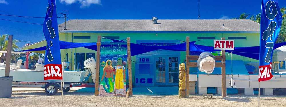 live bait and tackle in St. James city